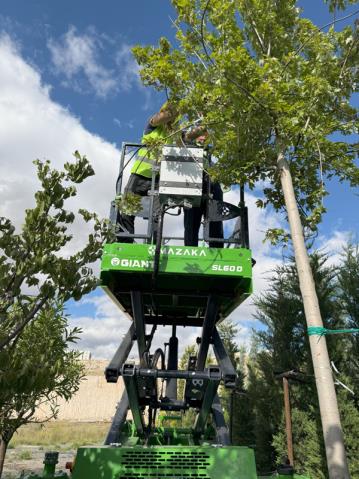 Garden Lift Gallery