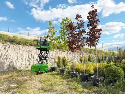 Agrilift Gallery Pile Driver Machine
