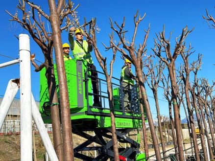 Agrilift Gallery Pile Driver Machine